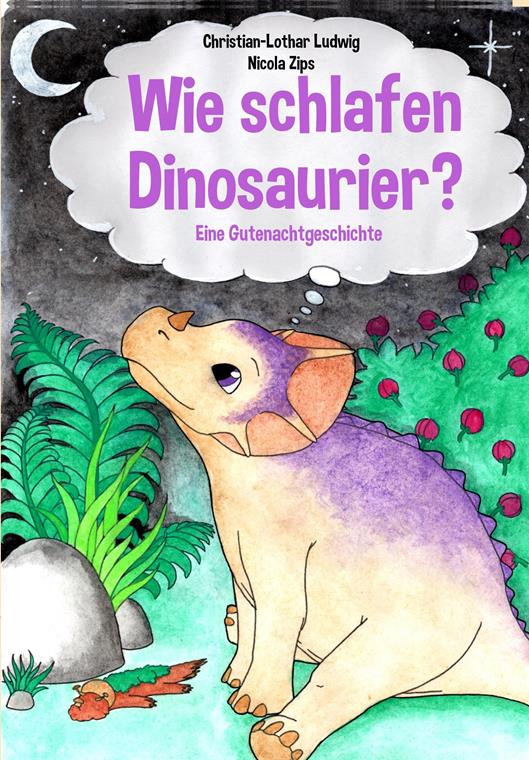 Wie schlafen Dinosaurier Cover Front (Copy) (Copy)